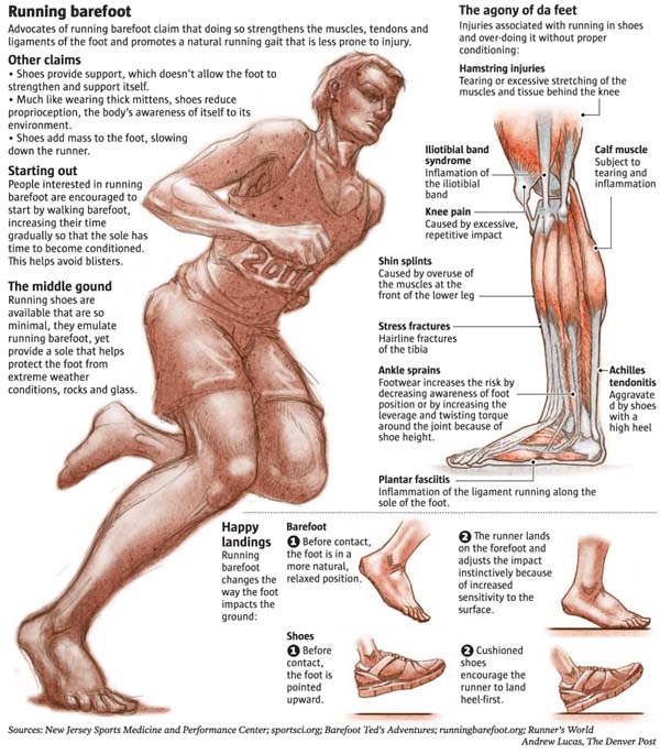 Qué es el Barefoot? - Actividad Física y Deporte - Salud y Actividad Física  - TAFAD - TAFAD y Cursos
