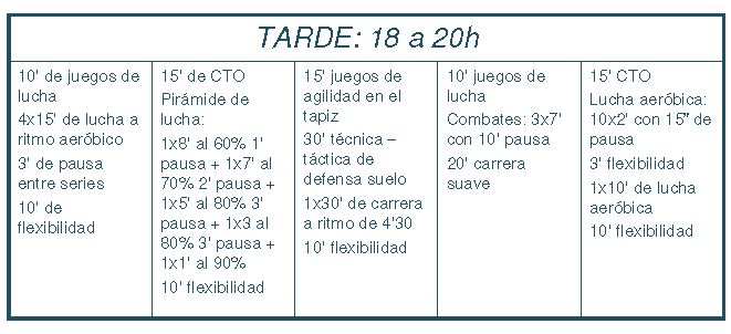 Actividad Carga Microciclo 