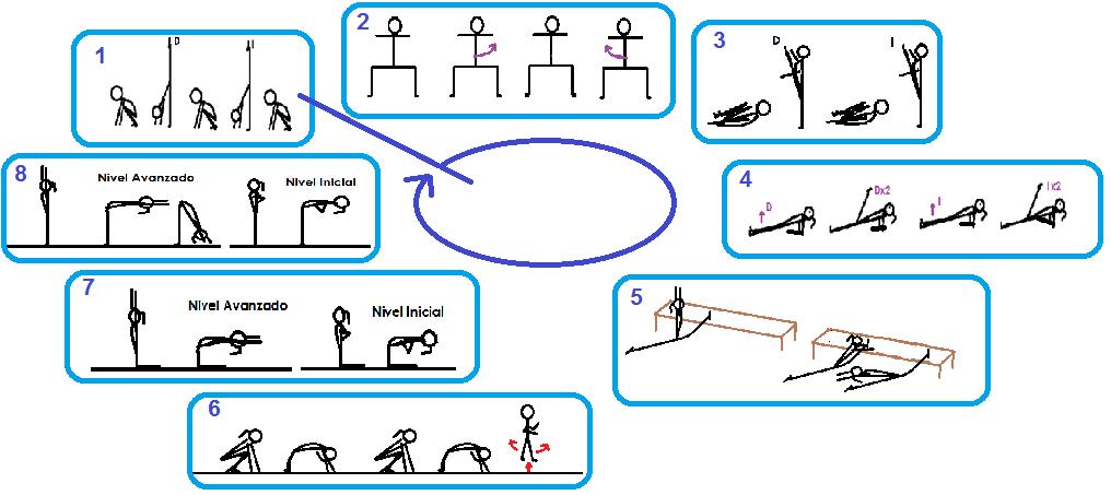 Flexibilidad Circuit Training