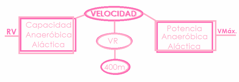 La Velocidad PAnAl y CAnAl