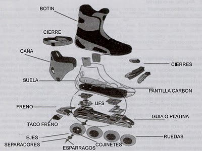 Patines linea partes