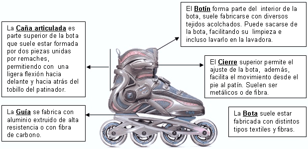 Patines linea partes