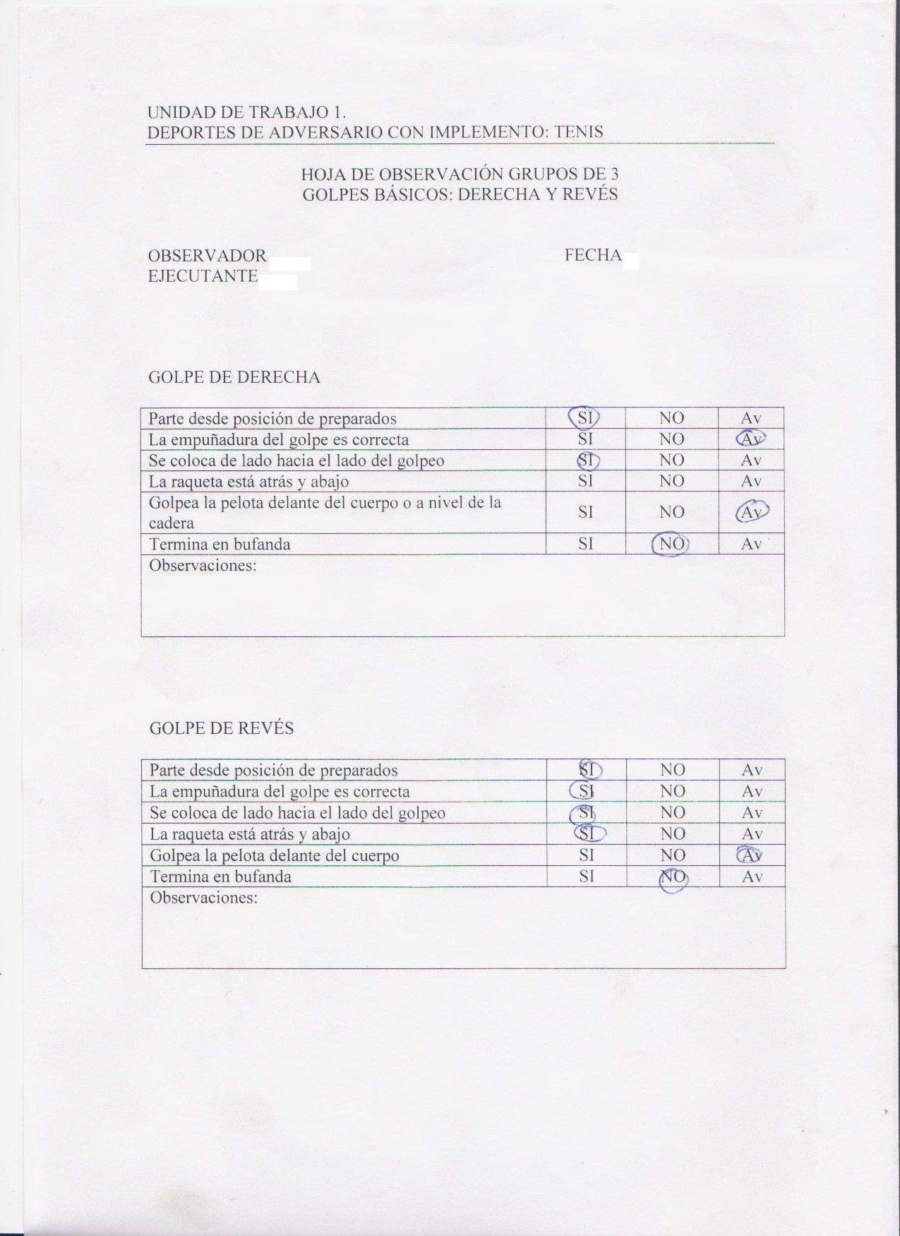 Tenis Hoja Observación