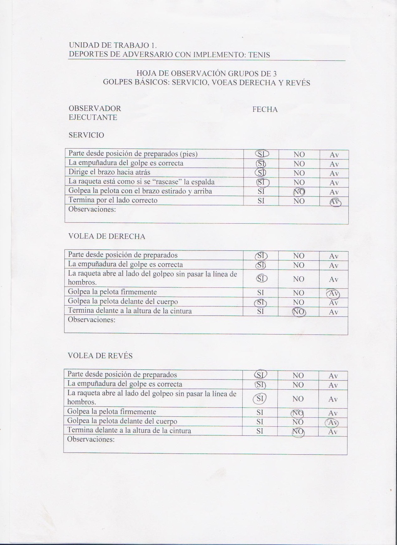 Tenis Hoja Observación