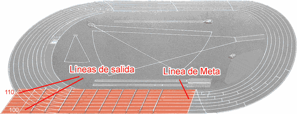 Pista Atletismo Áreas y Zonas de Actuación