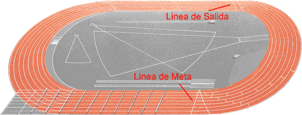 Pista Atletismo Áreas y Zonas de Actuación