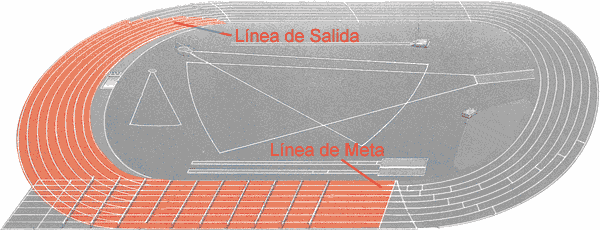 Pista Atletismo Áreas y Zonas de Actuación