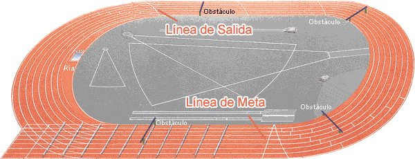 Pista Atletismo Áreas y Zonas de Actuación