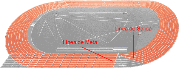 Pista Atletismo Áreas y Zonas de Actuación