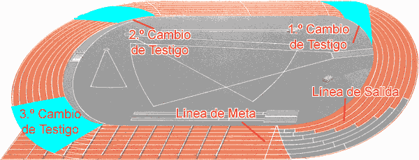 Pista Atletismo Áreas y Zonas de Actuación