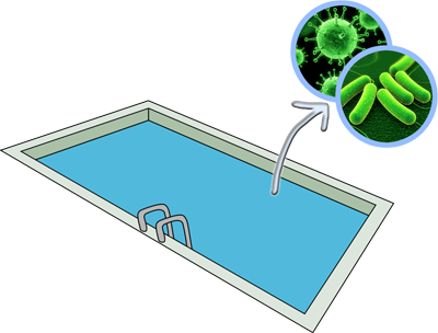 Bacterias Piscina