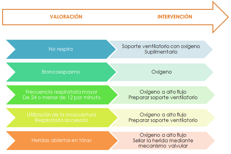 Socorrismo valoración del paciente traumático