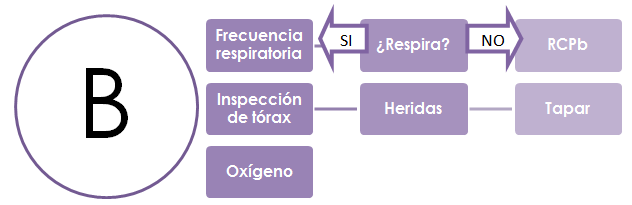 Socorrismo valoración del paciente traumático