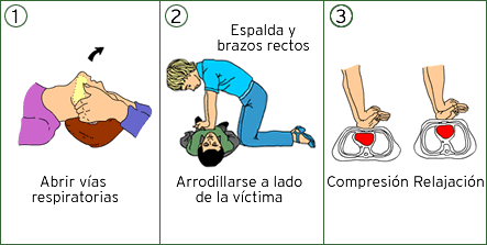 Socorrismo Reanimación Cardio Pulmonar