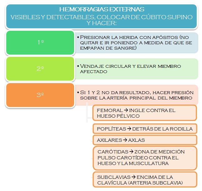 Socorrismo trastornos circulatorios hemorragias