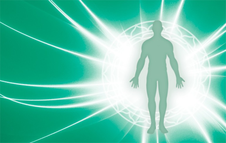 La Bioenergética