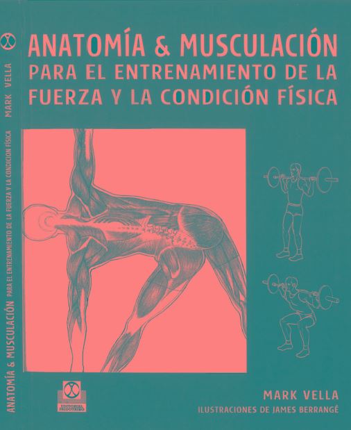 Anatomia y Musculacion para el Entrenamiento de la Fuerza y la Condición Física