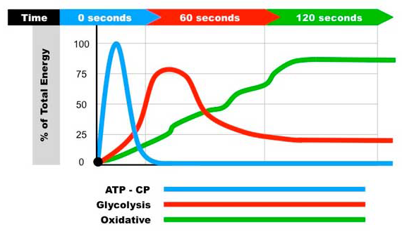 Características de los Sistemas Energéticos