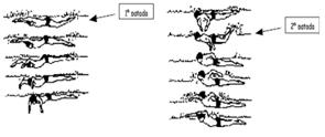 MARIPOSA: Ficha Técnica