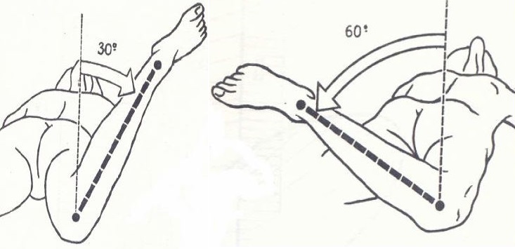 Rotación de la Cadera