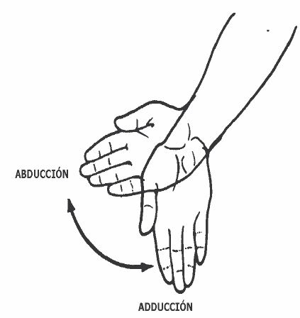 Abducción y Adducción de la Muñeca