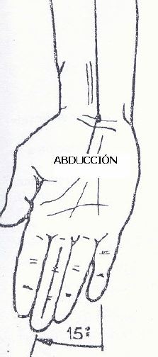 Abducción de la Muñeca