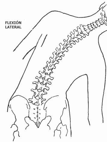 Flexión Lateral del Tronco