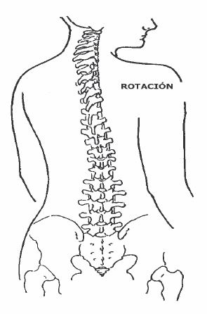 Rotación Columna