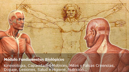 Fundamentos Biológicos Fundamentos Biológicos