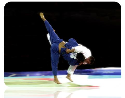 La Flexibilidad en Judo