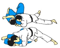 Técnica del Judo
