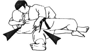 Judo: Técnica Hon Kesa Gatame