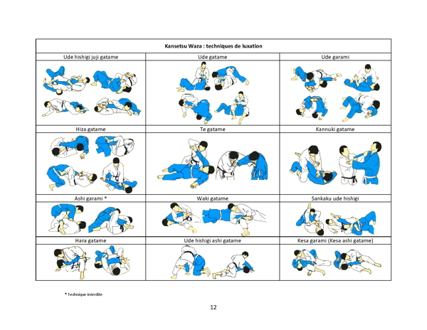 Técnicas de Luxación Kansetsu Waza